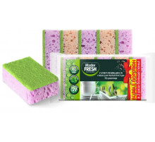 Губка для посуды MASTER FRESH XL 100*70*33 (уп5шт)