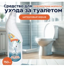 Чистящее средство для туалета Clean top 750мл гель в ассортименте ЧХЗ