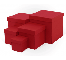 Коробка подарочная 12*12*12 тиснение РОГОЖКА КУБ красный моно