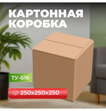 Коробка картонная 250*250*250 ТУ-616