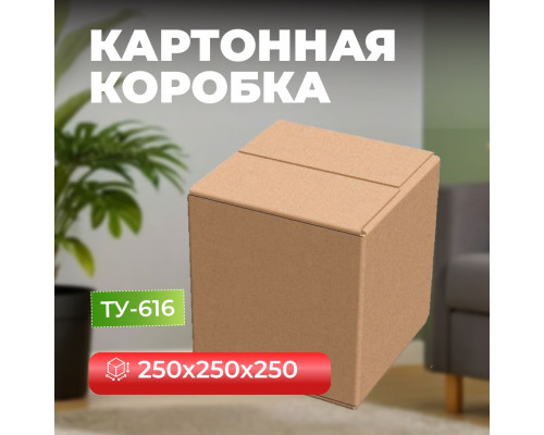 Коробка картонная 250*250*250 ТУ-616